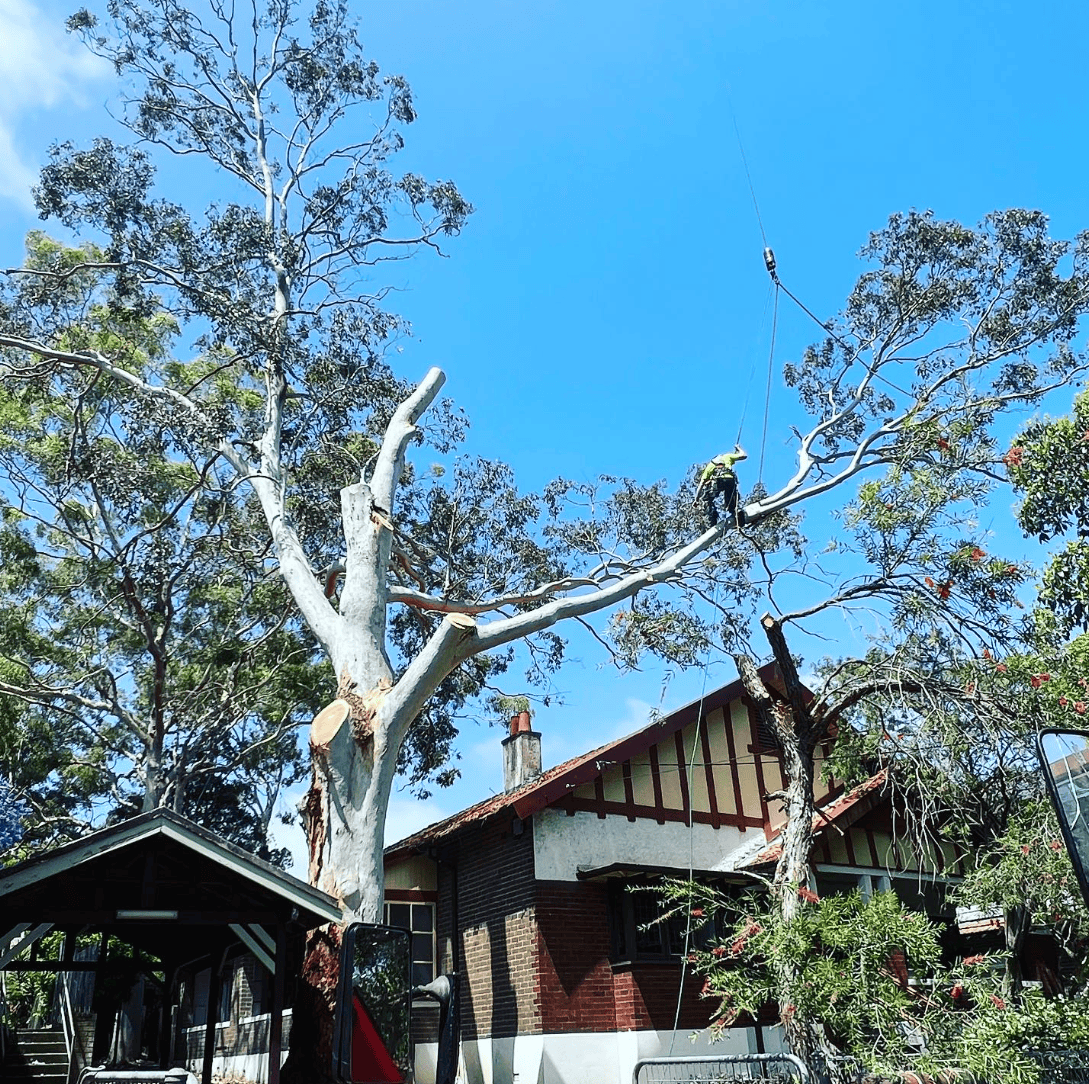 Screenshot 2025-12-10 at 10.48.03 am