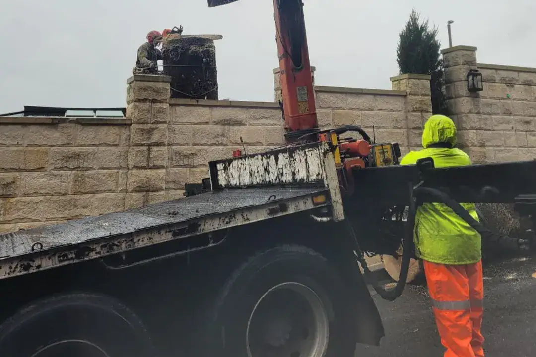 Tree Removal Inner West